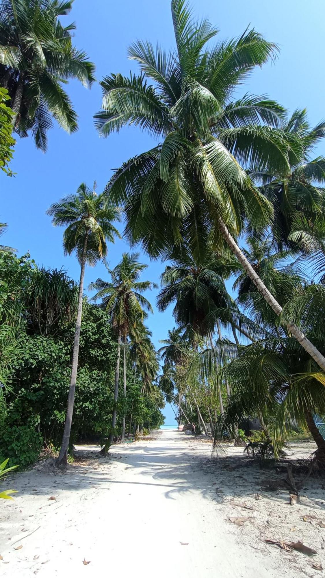Ahiva Village Fulhadhoo Eksteriør billede